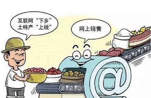 發力農村電商，成都網站建設